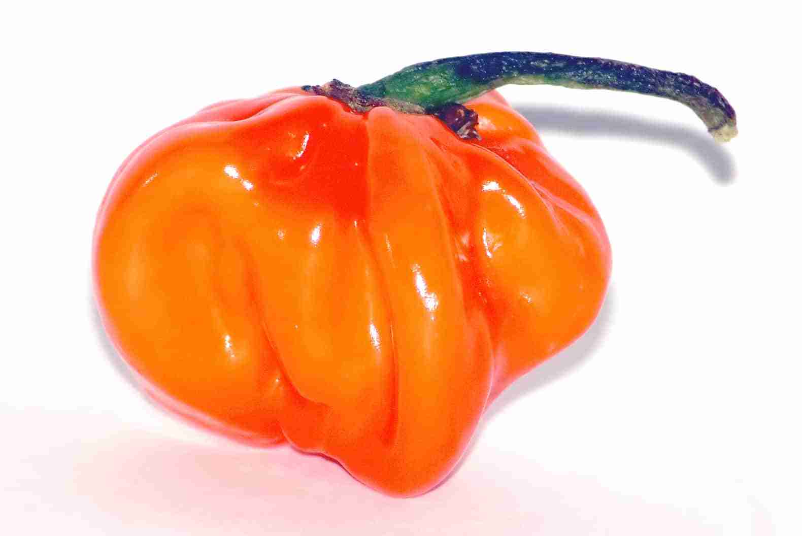 Habaneros Know Your Herbs and Spices #DailyDishMagazine