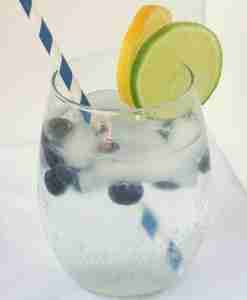 Blueberry Fizz Cocktail 