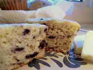 wild blueberry ricotta muffin