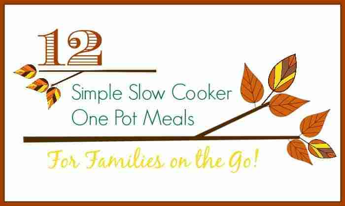 12 Slow Cooker Single Pot Meals