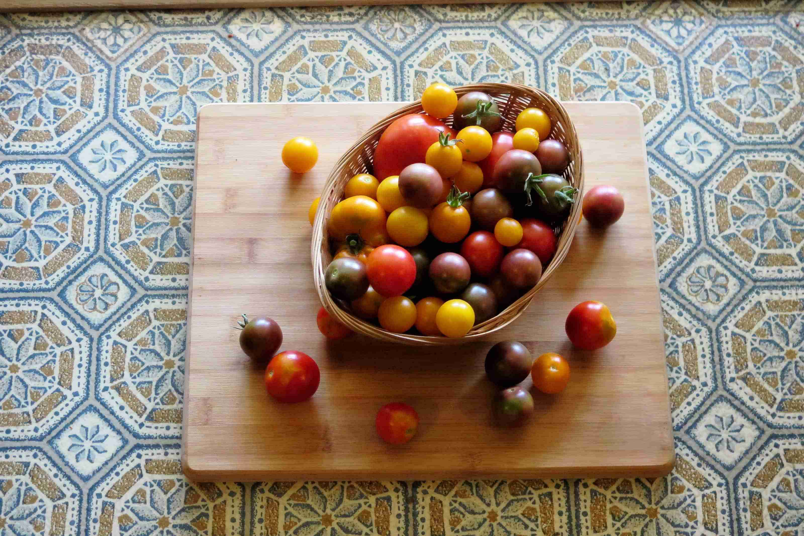 5 Tomato Facts You Should Know #GardenSense