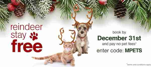 Extended Stay America No Pet Fees for Holiday Travel!