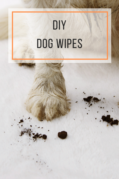DIY Dog Wipes