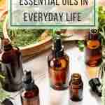 5 Ways to Use Essential Oils in Everyday Life
