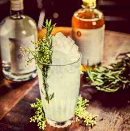 QT G&T - A Sassy Spin on a Gin and Tonic!